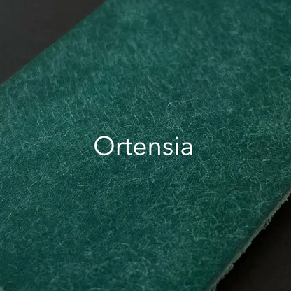 Cartera Portaplacas BASIC | Simulador | Todas las Corporaciones | Cuero Italiano Cosido a Mano – KPROO